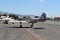 N6294D @ SZP - 1983 Yakovlev YAK 52, Vedeneev (Ivchenko) M-14P 360 Hp radial, taxi turn - by Doug Robertson