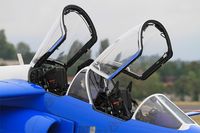 E45 @ LFSI - Dassault-Dornier Alpha Jet E (F-TETF), Cockpit close up view, St Dizier-Robinson Air Base 113 (LFSI) Open day 2017 - by Yves-Q
