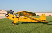 N88211 @ C77 - Piper J3C-65 - by Mark Pasqualino