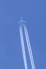 LX-VCL @ VIE - Cargolux Boeing 747-8 - by Thomas Ramgraber