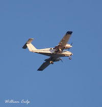 N556PC - Was seen flying over Peace Valley Park, New Britain Pa. - by William M. Culp
