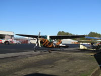 ZK-NAM photo, click to enlarge