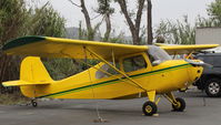 N83247 @ SZP - 1946 Aeronca 7AC CHAMPION, Continental A&C65 65 Hp - by Doug Robertson