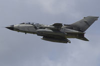 MM7004 photo, click to enlarge
