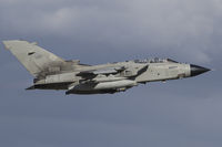 MM7024 photo, click to enlarge