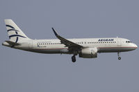 SX-DNB photo, click to enlarge