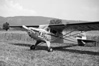 D-ERAU - Airshow at Sisseln airfield (closed) 1957. 
Nothing found about this aircraft.
Scanned from a 6x9cm b+w negative. - by sparrow9