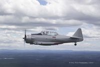 N8540P photo, click to enlarge