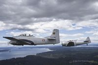 N28YF photo, click to enlarge