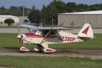 N2390P photo, click to enlarge
