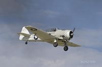 N101RF photo, click to enlarge