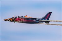 OE-FAS @ EDDR - Dassault/Dornier