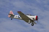 N87H photo, click to enlarge