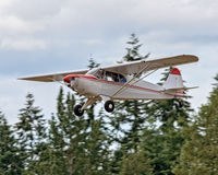 N3712M @ KAWO - 2018 Arlington Fly-In - by Terry Green