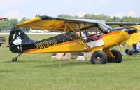 N32MA @ KOSH - Aviat A-1C-180