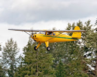 N28437 @ KAWO - 2018 Arlington Fly-In - by Terry Green