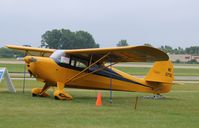 N3175E @ KOSH - Aeronca 11AC - by Mark Pasqualino