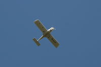 SP-SCLK photo, click to enlarge SP-SCLK photo, click to enlarge
