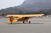 N6900H photo, click to enlarge