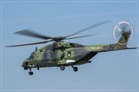 79 16 @ EDDR - NH-90 TTH