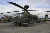 ZJ203 photo, click to enlarge