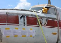 N51973 @ KOSH - Hunting Percival P-66 Pembroke C51 - by Mark Pasqualino