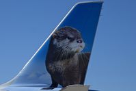 N336FR @ KBOI - Rosie The River Otter.