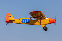 D-EFLC @ EDRV - D-EFLC - Piper PA-18 (L-18C) Super-Cub @ Airfield EDRV - Wershofen/Eifel