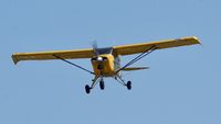 N9558D @ KCCR - Buchanan Field Concord California 2018. - by Clayton Eddy