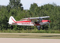N4456Z @ 4NY8 - Landing at Harris Hill, NY. - by Gerald Howard
