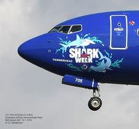 N705SW @ BWI - Shark to 33L.