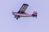 N8581V - Photographed over the beach in Nags Head, NC. Pulling a sign. - by Dewey Paciaffi