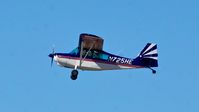 N725HE @ KCCR - Buchanan Field Concord California 2018. - by Clayton Eddy