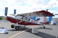 N587S @ KORL - American Champion 8GCBC - by Mark Pasqualino