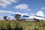 N3446V @ EDRV - Cessna 195A at the 2018 Flugplatzfest Wershofen