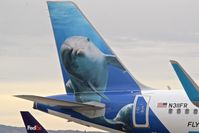 N311FR @ KBOI - Mia the Dolphin.