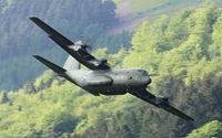ZH888 photo, click to enlarge