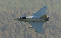 ZK331 photo, click to enlarge