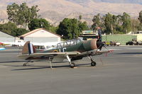 N699DP @ SZP - 2002 Yakovlev (AEROSTAR) YAK-52TW, Ivchenko M14P 360 Hp radial - by Doug Robertson