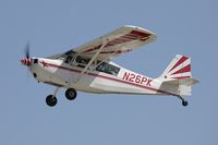 N26PK @ KOSH - Bellanca 7ECA Citabria  C/N 1041-74, N26PK - by Dariusz Jezewski  FotoDJ.com