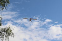 N783BG photo, click to enlarge