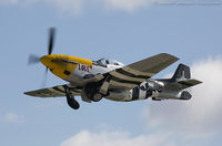 N151MC - North American F-51D Mustang Abigail Rose  C/N AF6722581, N151MC - by Dariusz Jezewski www.FotoDj.com