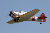 N36CA - North American AT-6D Texan  C/N 88-10677, N36CA - by Dariusz Jezewski www.FotoDj.com