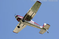 N4660B - Cessna 180 Skywagon  C/N 31558, N4660B - by Dariusz Jezewski www.FotoDj.com