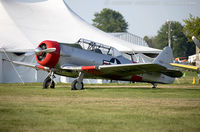 N6442D - North American SNJ-6 Texan  C/N 112239, N6442D - by Dariusz Jezewski www.FotoDj.com