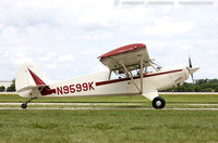 N9599K - Christen A-1 Husky  C/N 1111, N9599K