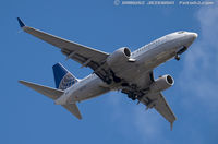 N24702 @ KEWR - Boeing 737-724 - United Airlines  C/N 28763, N24702