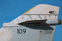 109 - tiger stripe - by olivier Cortot