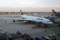 D-AIGO photo, click to enlarge