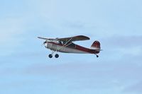 N6404C @ CCR - Buchanan Field Concord California 2018. - by Clayton Eddy